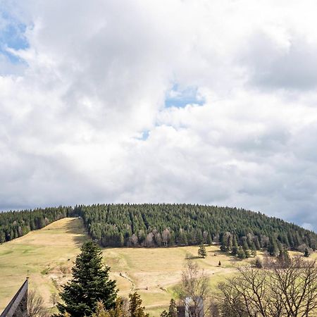 Haus Bergruh Kuckucksnest Appartement Todtnauberg Buitenkant foto