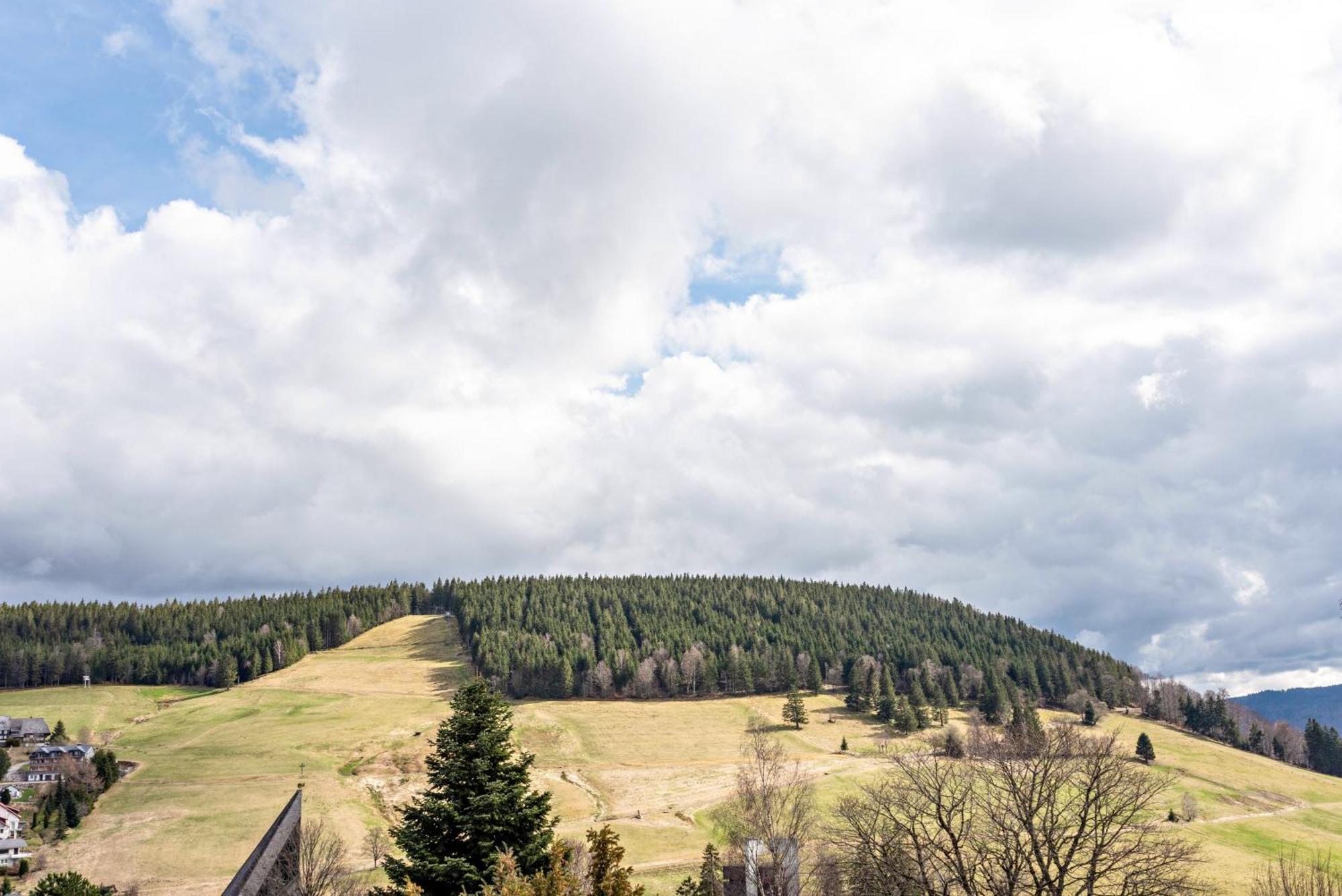 Haus Bergruh Kuckucksnest Appartement Todtnauberg Buitenkant foto